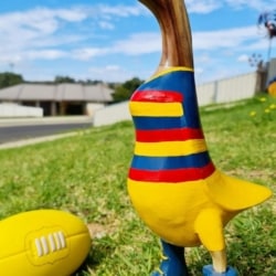 FOOTY DUCK – ADELAIDE