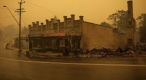 Read more about the article Australia’s Bushfire Crisis One Year on:  Are you still buying from the bush?