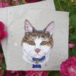 Personalised pet portrait card_Examples