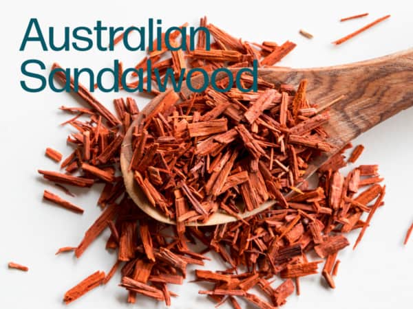 Soy Wax Melts - Australian Sandalwood | Dusty Blend